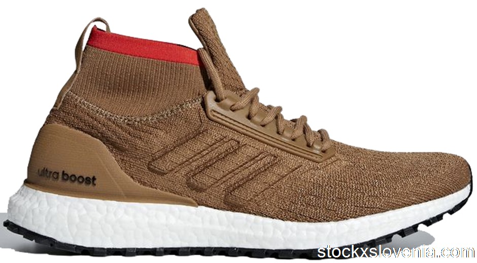 Outlet adidas Ultra Boost All Terrain Raw Desert CM8258